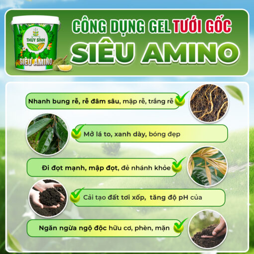 Công dụng siêu Amino