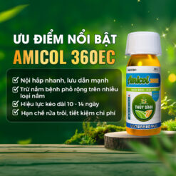 Ưu điểm nổi bật Amicol