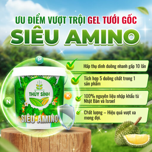 Ưu điểm vượt trội siêu Amino