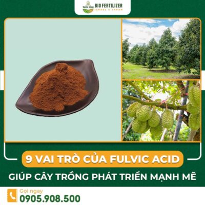 Acid Fulvic