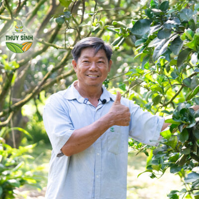Anh Trung - Bưởi