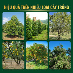 Chapaon hiệu quả trên nhiều loại cây trồng