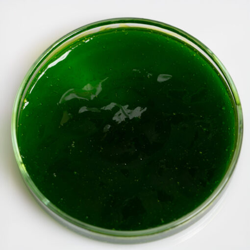gel thủy sính 20