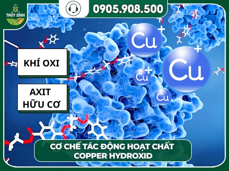Hoạt chất Copper Hydroxide là gì? Ứng trong trong nông nghiệp