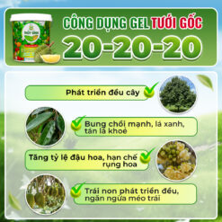 Công dụng gel tưới 20-20-20