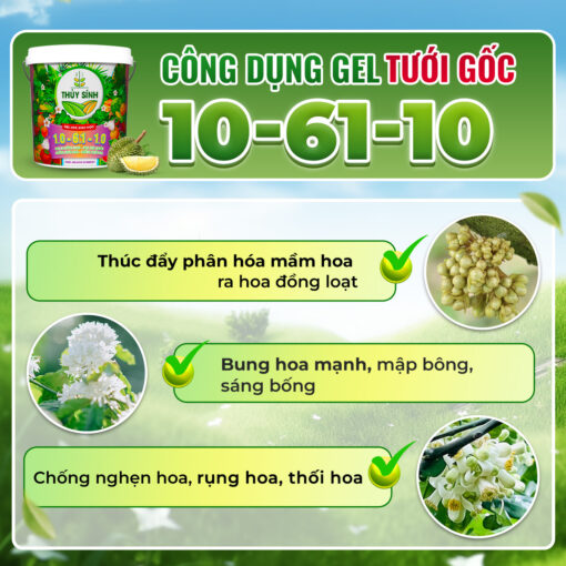 Công dụng Gel tưới NPK 10-61-10