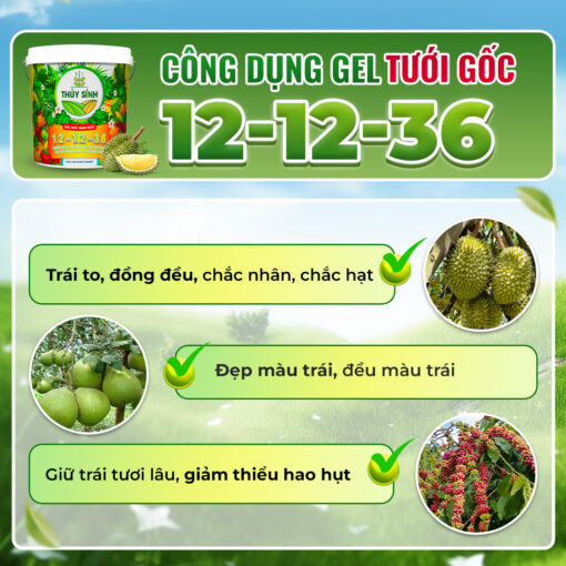 công dụng gel tưới gốc 12 12 36