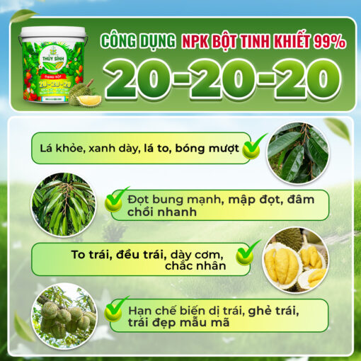 Công dụng phân xô bột NPK 20-20-20