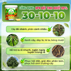 Công dụng NPK 30-10-10