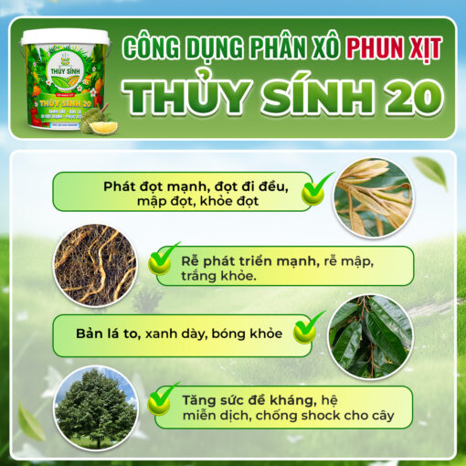 Công dụng phân thủy sính 20