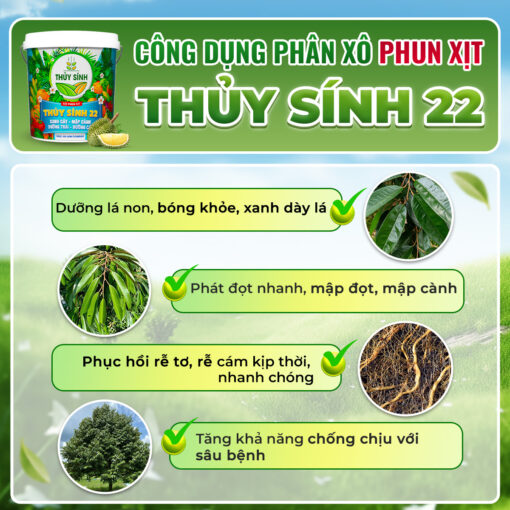 Công dụng phân xô thủy sính 22
