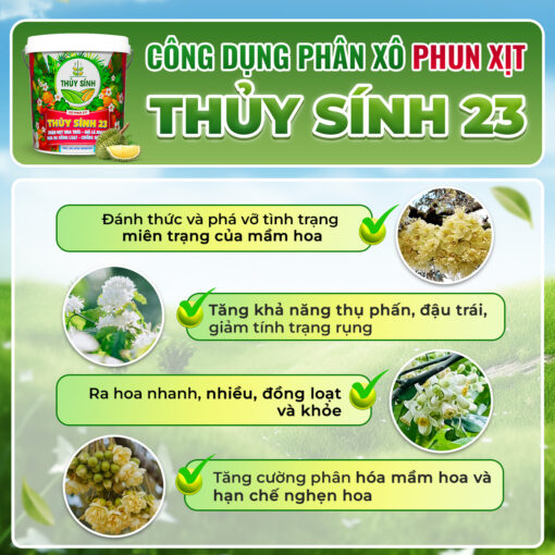 công dụng phân xô thủy sính 23