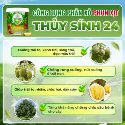 Công dụng thủy sính 24