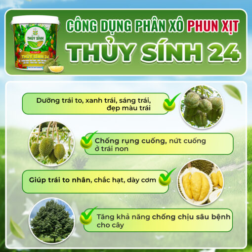 Công dụng thủy sính 24