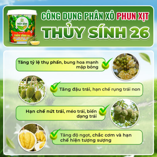 Công dụng Thủy Sính 26
