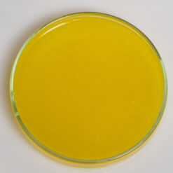 Gel thủy sính 23 dạng lỏng