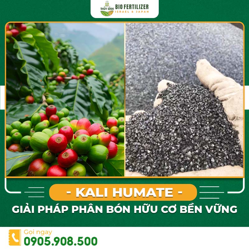Kali Humate