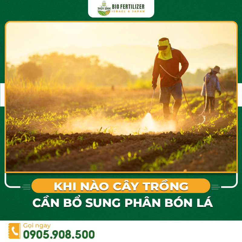Phân bón lá