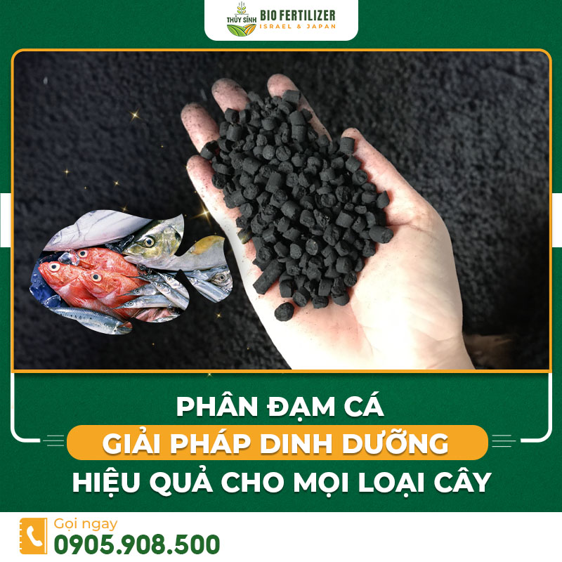 Phân đạm cá