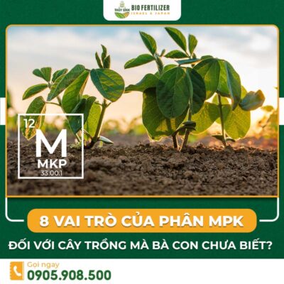 phân mpk