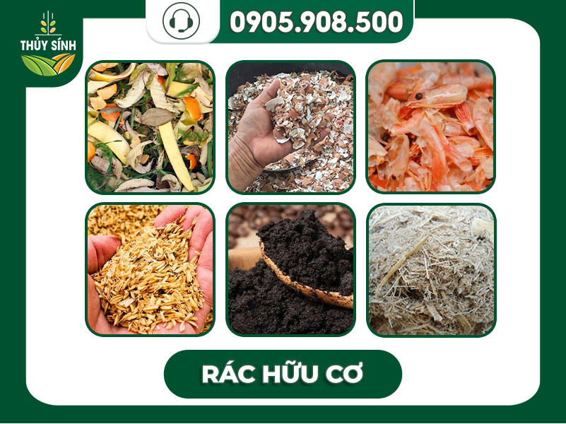 Rác hữu cơ là gì? 6 Cách tận dụng rác thành