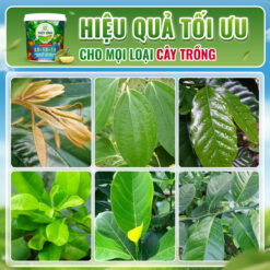 Hiệu quả sử dụng gel tưới gốc 30 10 10
