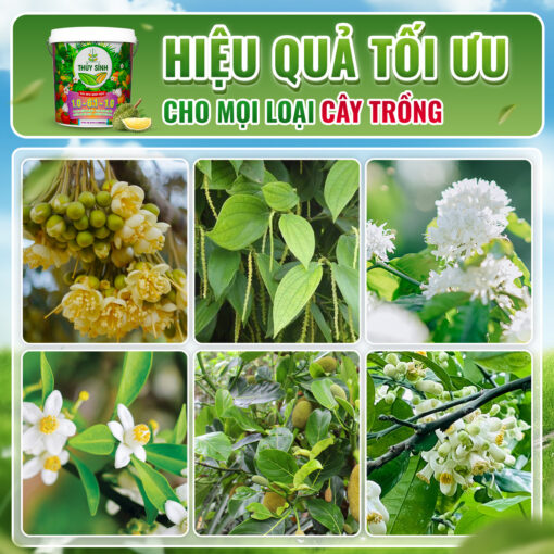 Gel tưới NPK 10-61-10 sử dụng được trên nhiều loại cây trồng