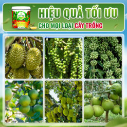 Hiệu quả npk 5-5-30
