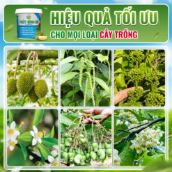 Sử dụng phân xô thủy sính 25