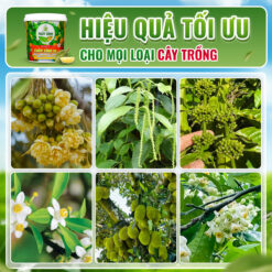 Sử dụng Thủy Sính 26