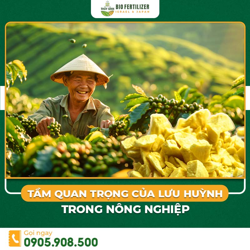 Lưu huỳnh