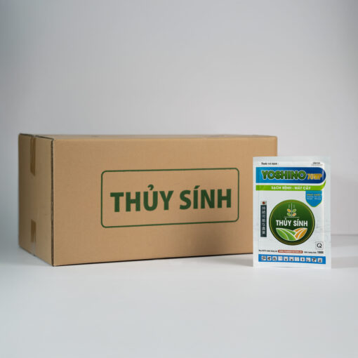 Thuốc điều trị nấm bệnh yoshino