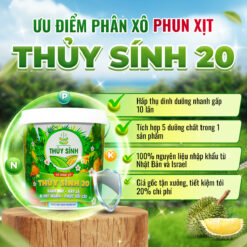 Ưu điểm phân thủy sính 20