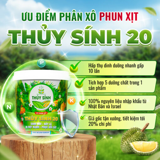 Ưu điểm phân thủy sính 20