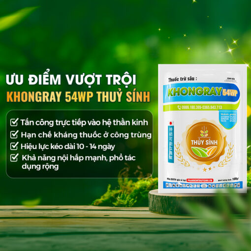 KHONGRAY 54WP THUỶ SÍNH - Hình ảnh 5