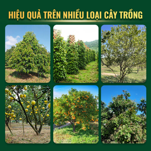 Yoshino sử dụng cho nhiều loại cây trồng