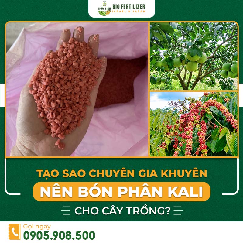 Phân kali