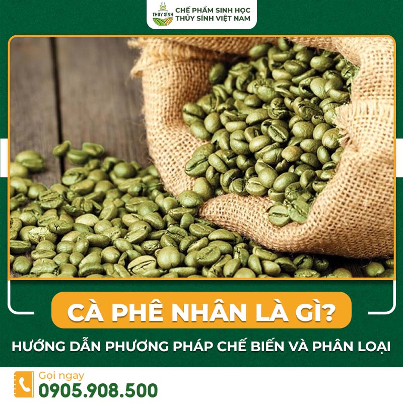 cà phê nhân