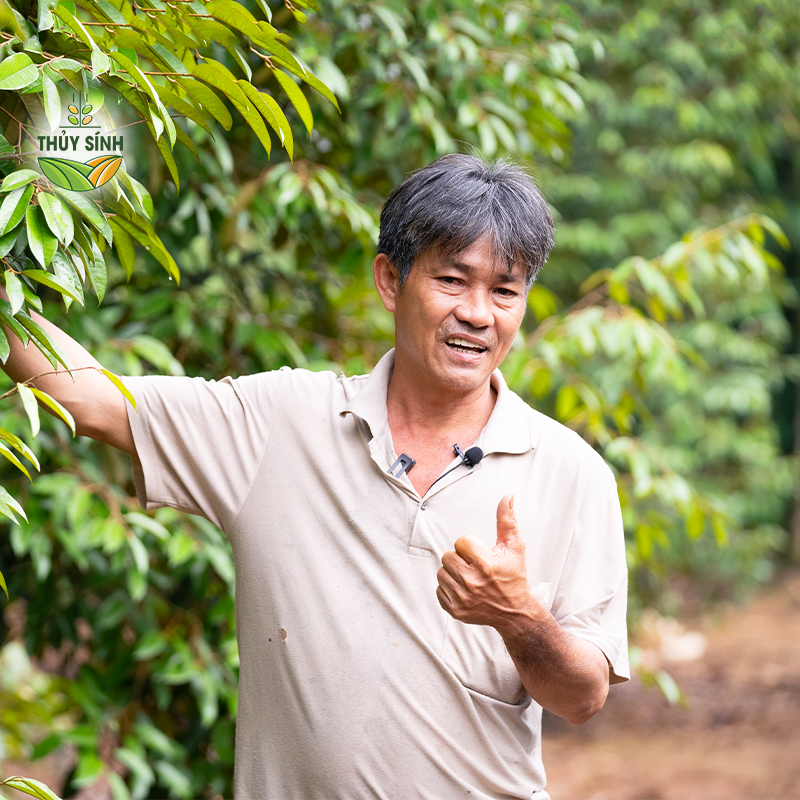 Đồng Nai - Anh Đại - Cây sầu riêng