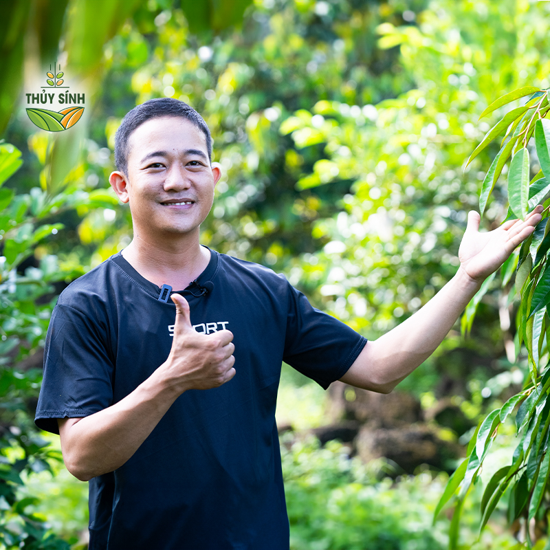 Anh Đông - cây sầu riêng