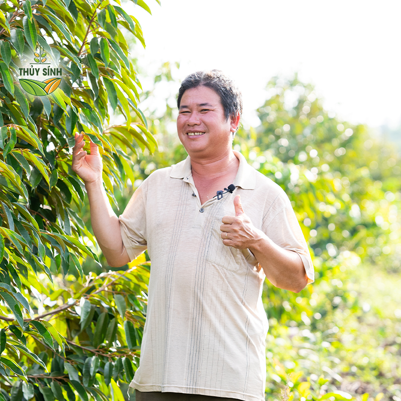 Anh Quý