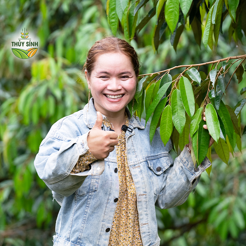Chị Thiền - Cây sầu riêng