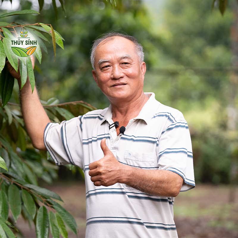 Chú Đức - cây sầu riêng