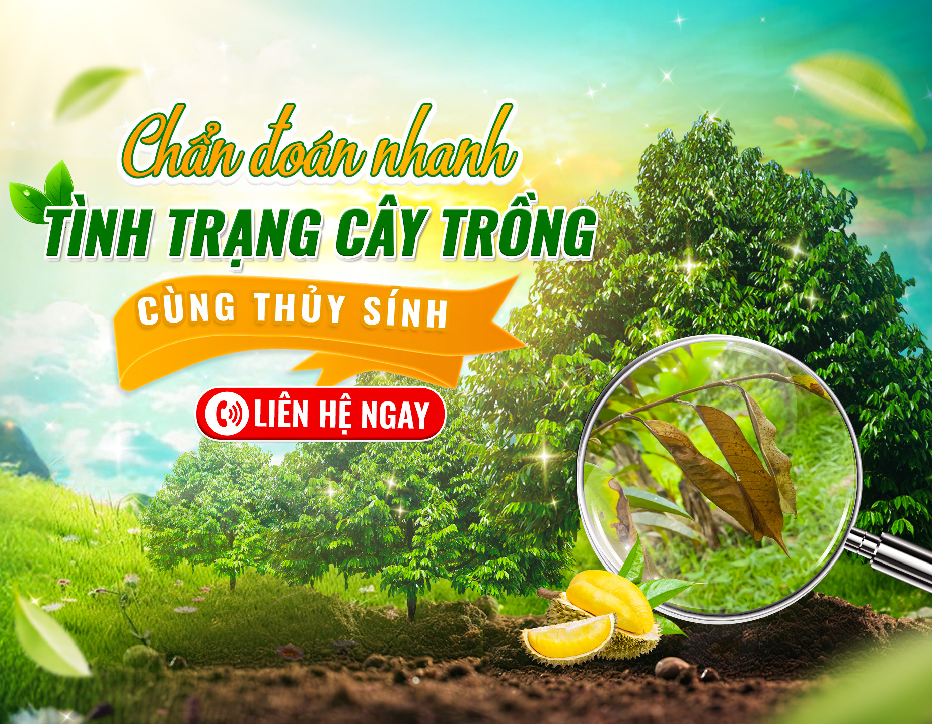 Phân bón hữu cơ thủy sính
