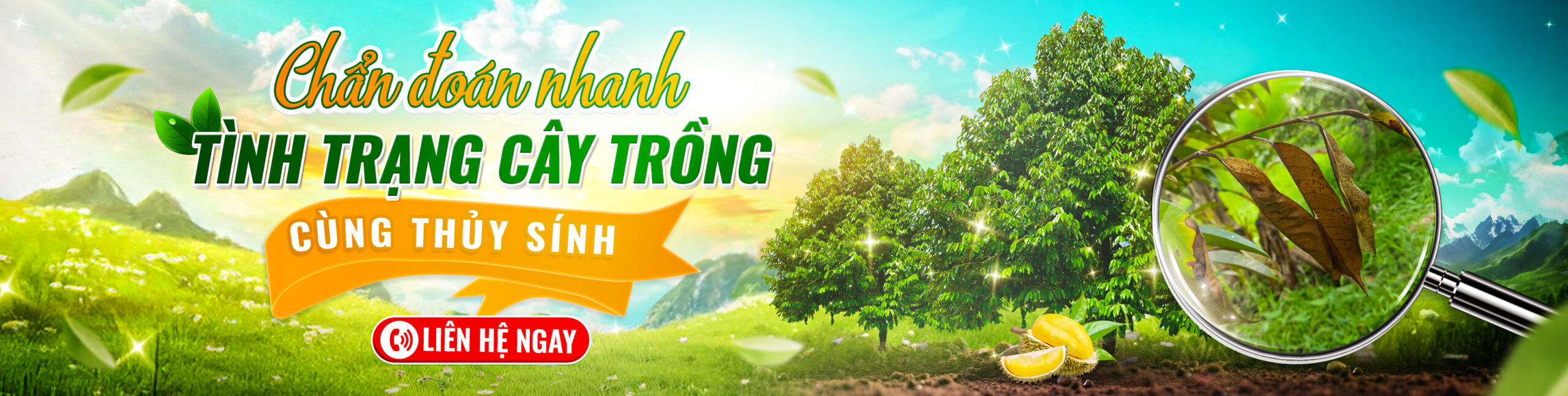 Phân bón hữu cơ vi sinh Thủy Sính