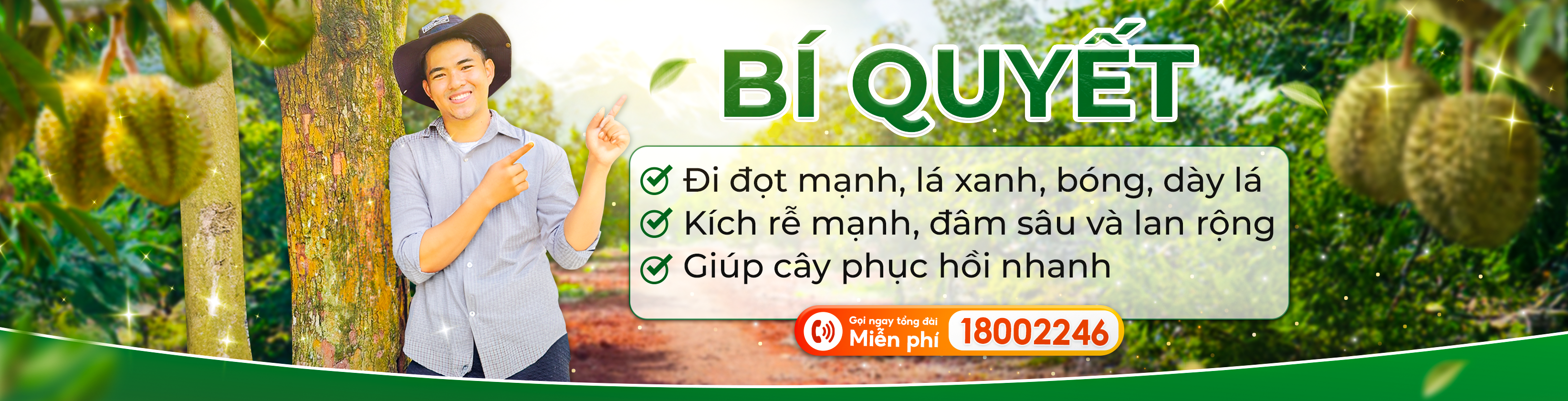 Phân bón Thủy Sính