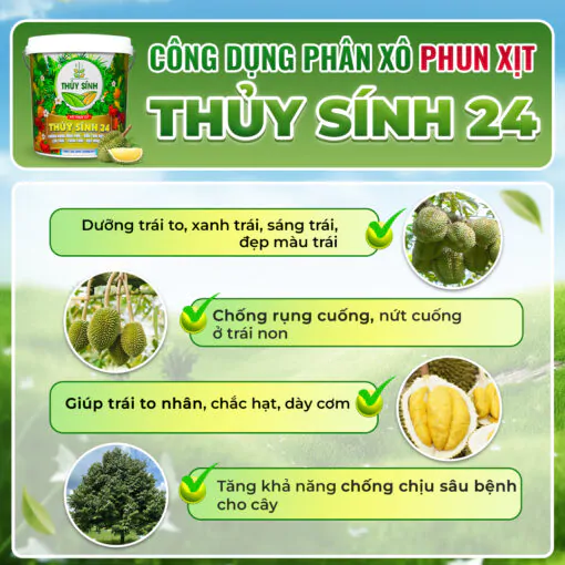 Công dụng thủy sính 24