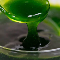 gel Thủy Sính 20 dạng lỏng