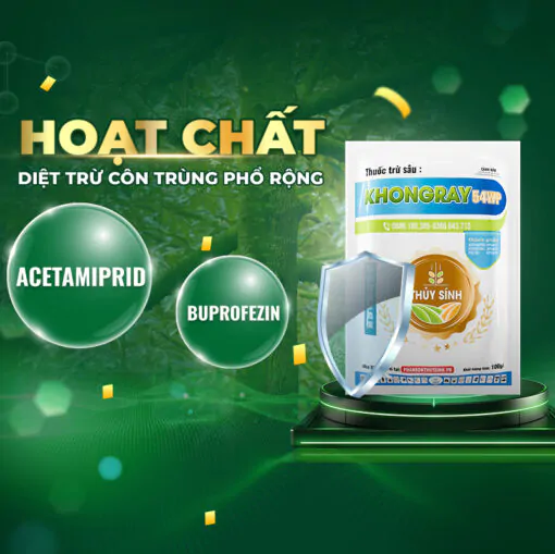 KhongRay 54WP Thủy Sính