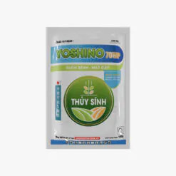 Thuốc xử lý nấm bệnh yoshino